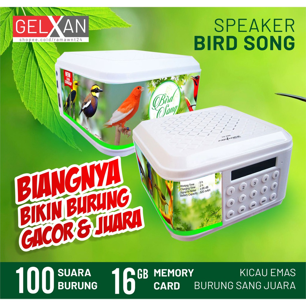Speaker Burung Juara Bird Song Speaker Mp3 Masteran Isian