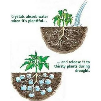 Produk Termurah Super Hydrogel Media Tanam Hidrogel Kristal Super Absorbent Polymer Barang Shopee Indonesia