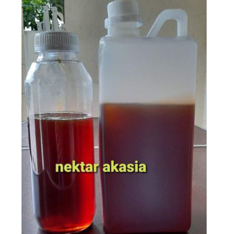 

Madu Hutan Asli Sumatra