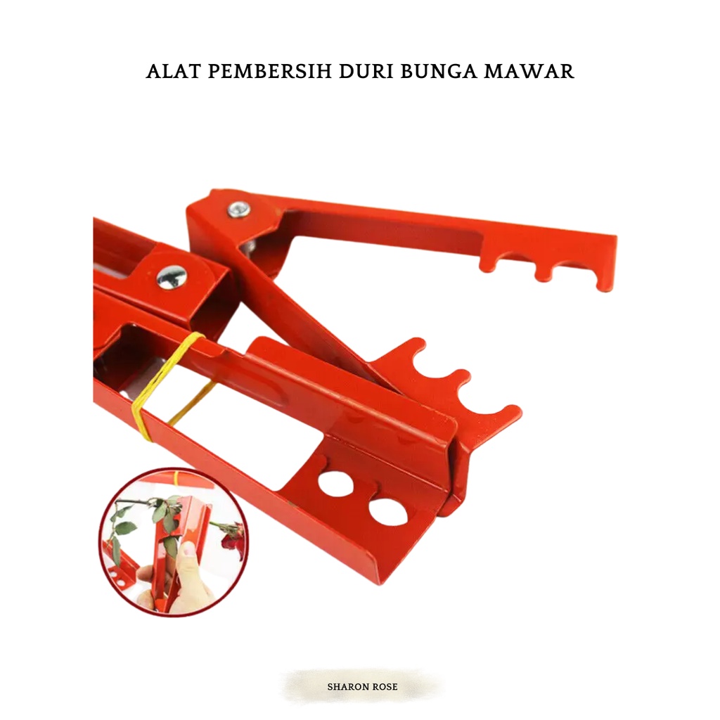

ALAT PEMBERSIH DURI BUNGA MAWAR 101