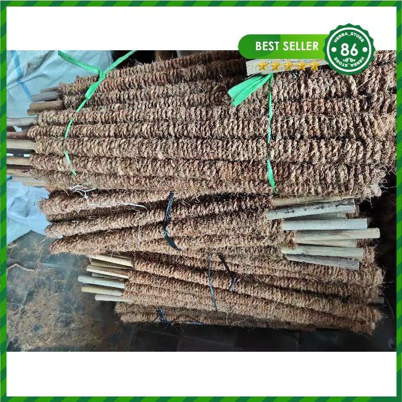 stik turus turusan rambatan penyangga tanaman menjalar jandabolong sirih cincau sabut kelapa