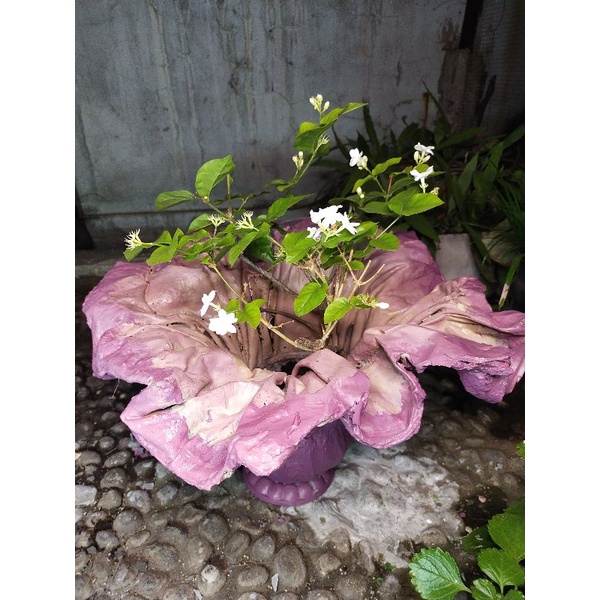 POT BUNGA GELOMBANG CINTA