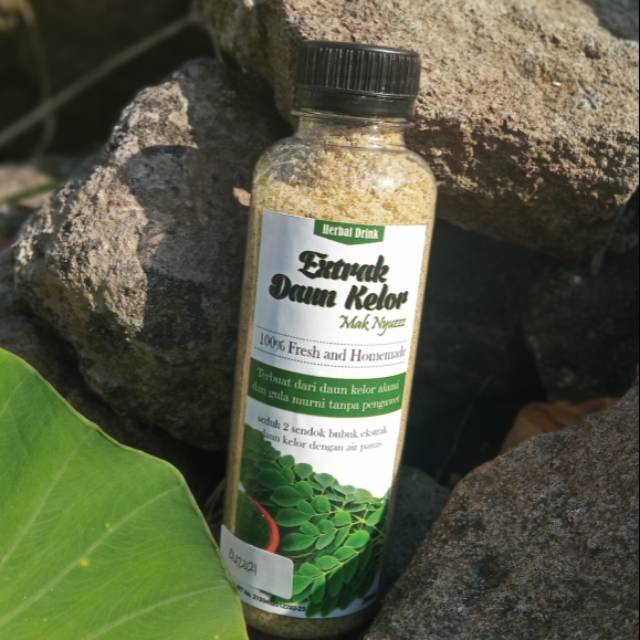 

Ekstrak Daun Kelor