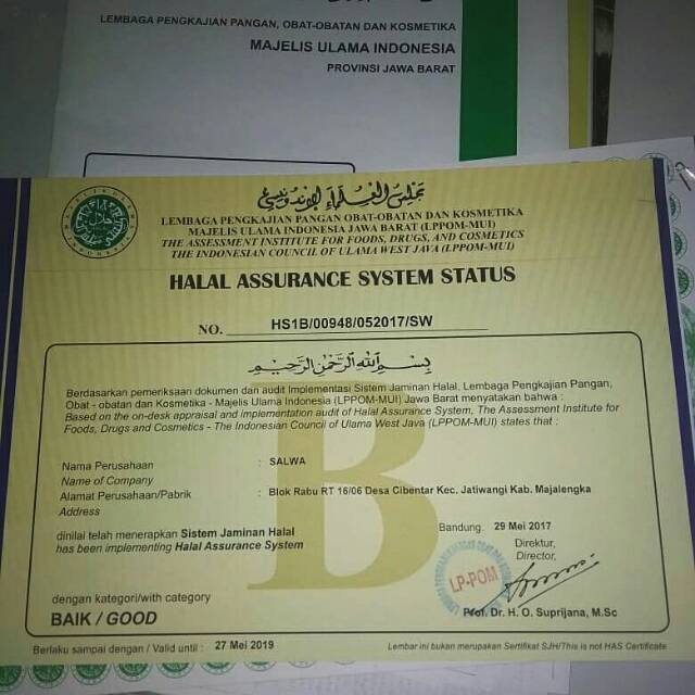 Kolang kaling merk SALWA