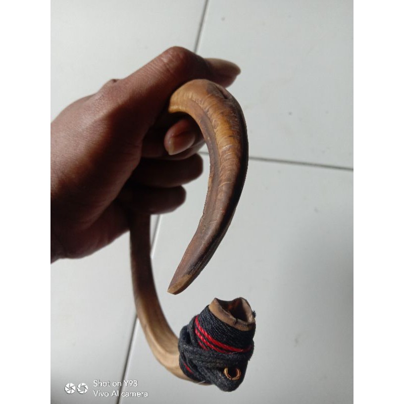 [TERMURAH] KALUNG TARING BABI PANJANG MELINGKAR