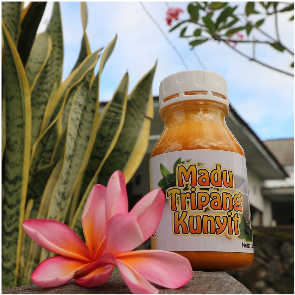 Madu Tripang Kunyit, Obat Maag Ampuh, Obat Herbal Maag dan Asam Lambung