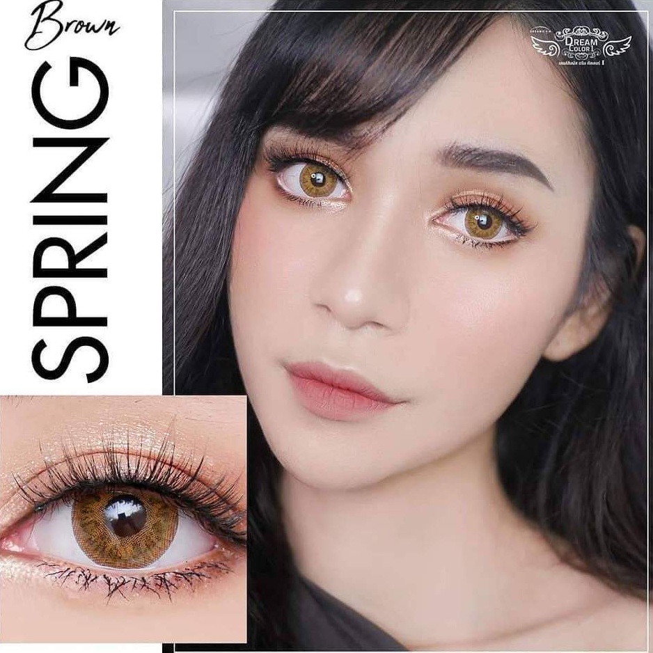 Softlens Spring by Dreamcolor1 DC1 Gray Brown Normal Minus kontak Lensa botol