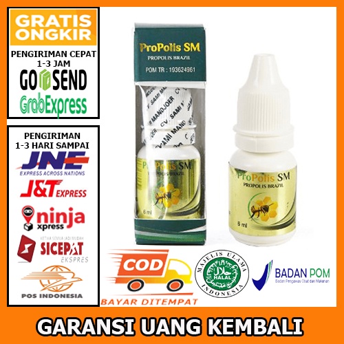 Obat Usus Buntu, Radang Usus, Disentri, Infeksi Usus, Kanker Usus, Megacolon, Kanker Kolon, Usus Ben
