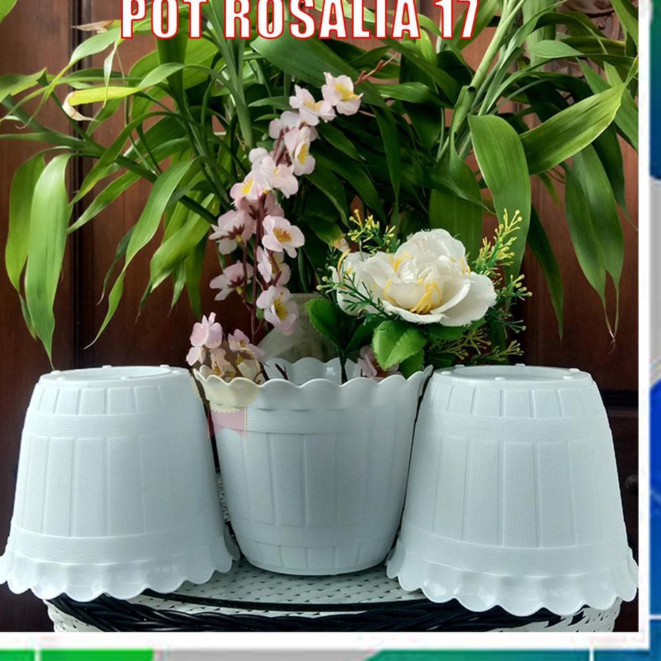 『Launching』 Pot Bunga ROSALIA 17 PUTIH - POT 17 ( diameter 16 cm )