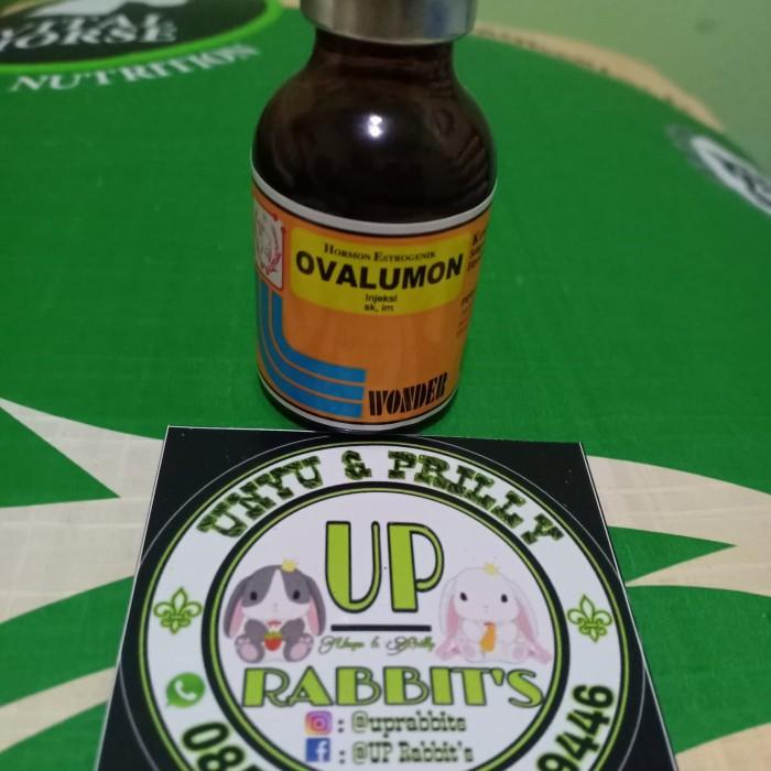 Tokki | Ovalumon Inject Obat Birahi Kelinci 20Ml Kekinian Terlaris
