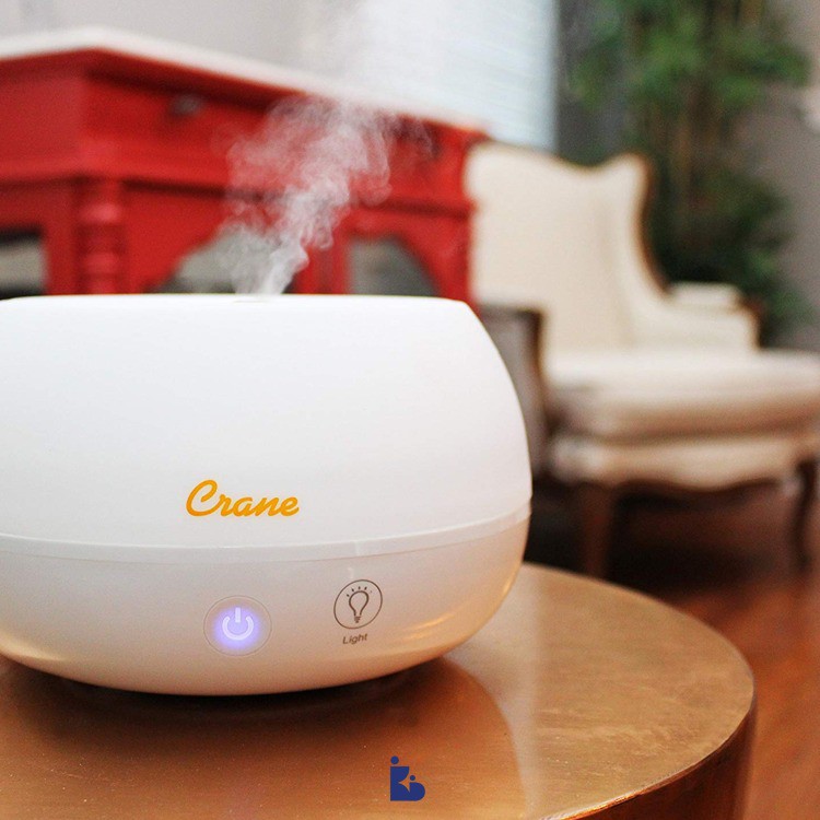 Crane Humidifier With Aroma Diffuser