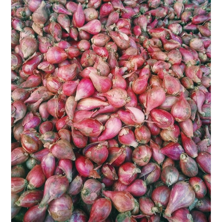 

Bawang Merah