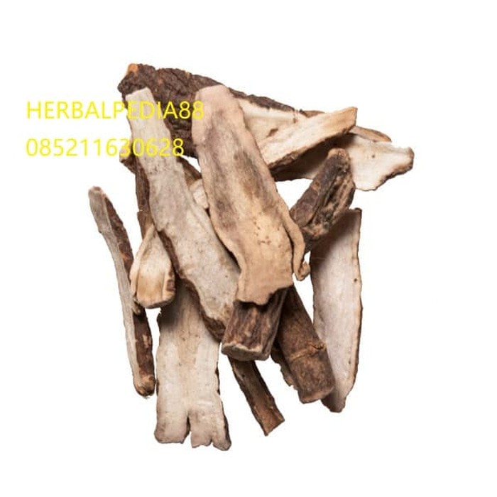 

chi shao 赤芍 Radix paeoniae rubra 600 gram