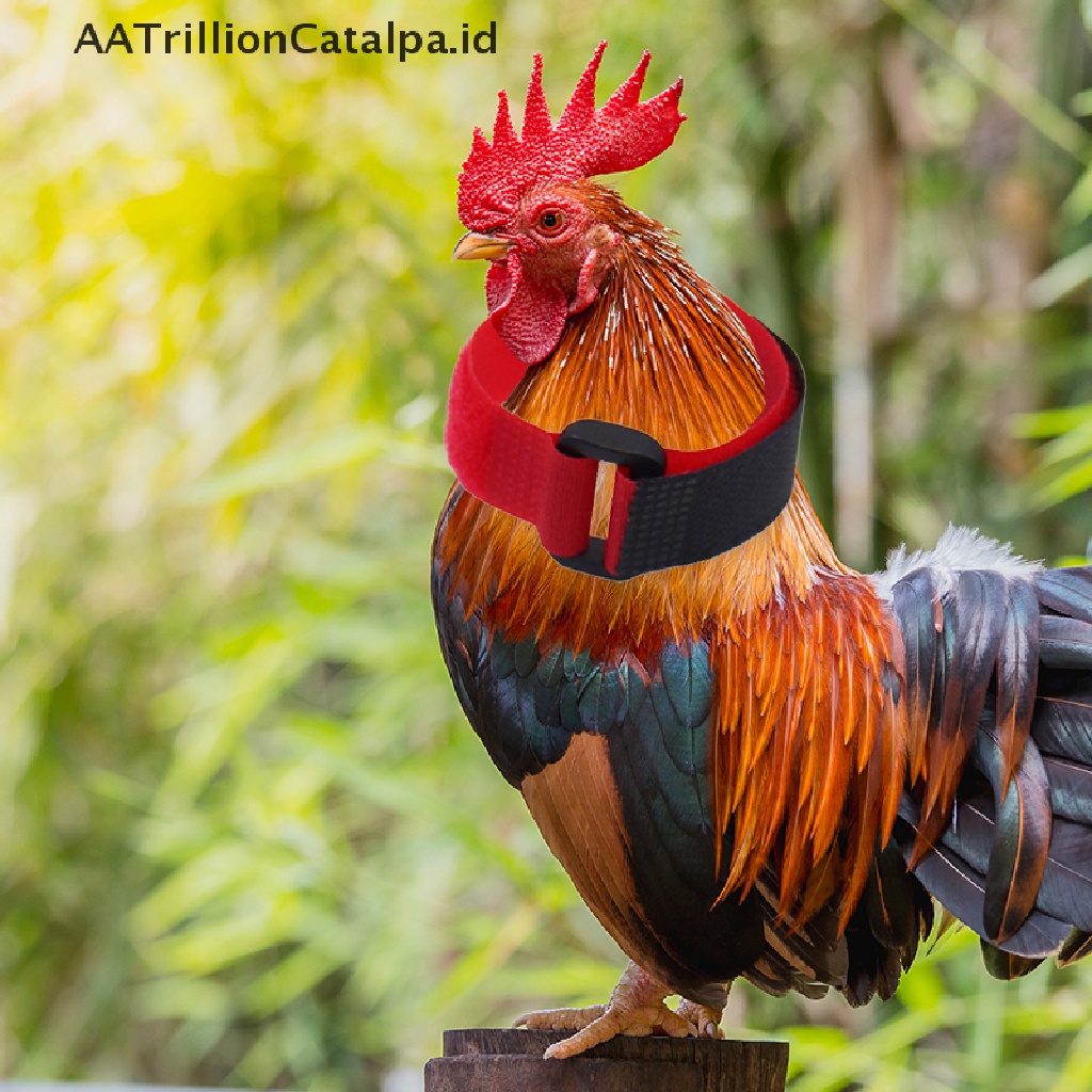 2 Pcs Kerah Leher Anti Kait Dan Kebisingan Bentuk Ayam Jago