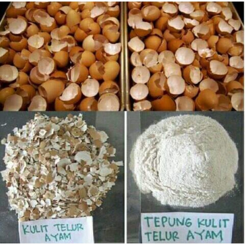 pupuk organik tepung cangkang telur termurah