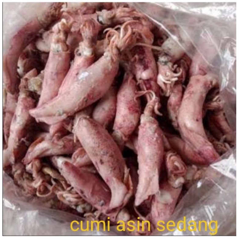 

cumi asin sedang