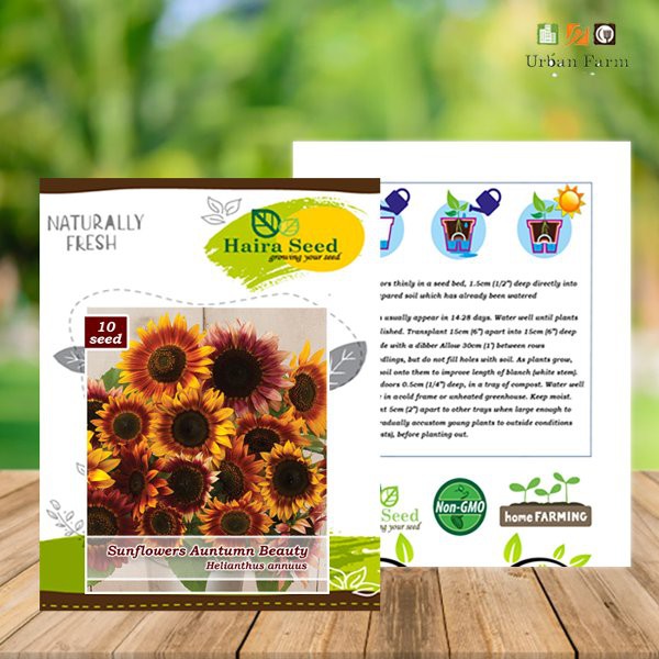 

Benih-Bibit Bunga Matahari Auntumn Beauty - Haira Seed
