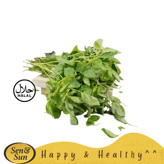 

Sen&Sun Daun Kemangi 100 gr