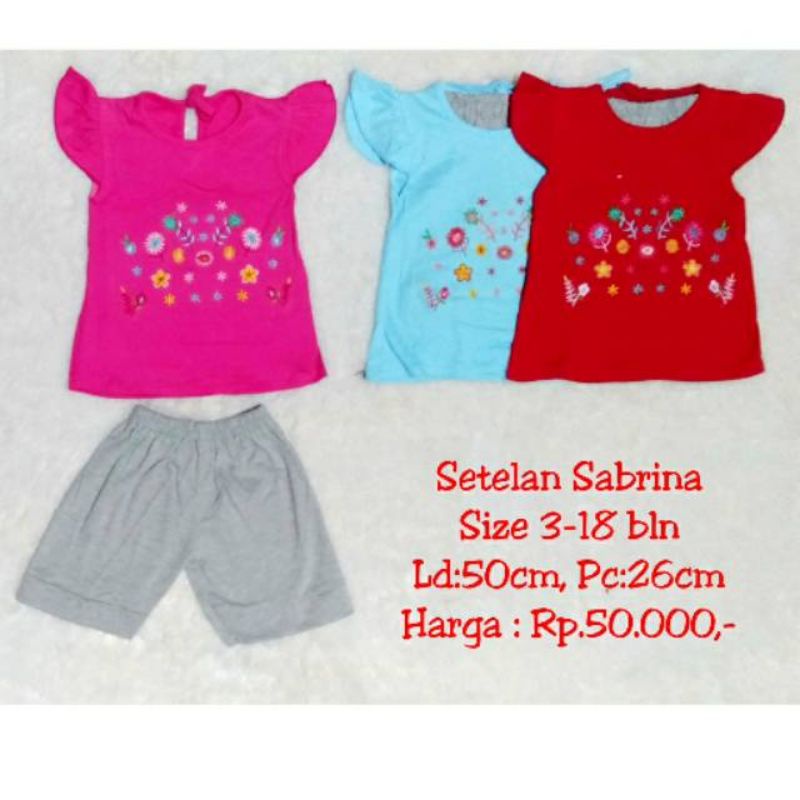 Setelan Kaos Ruffle Bordir Bunga Celana Pendek Soft Cotton Baby Girl