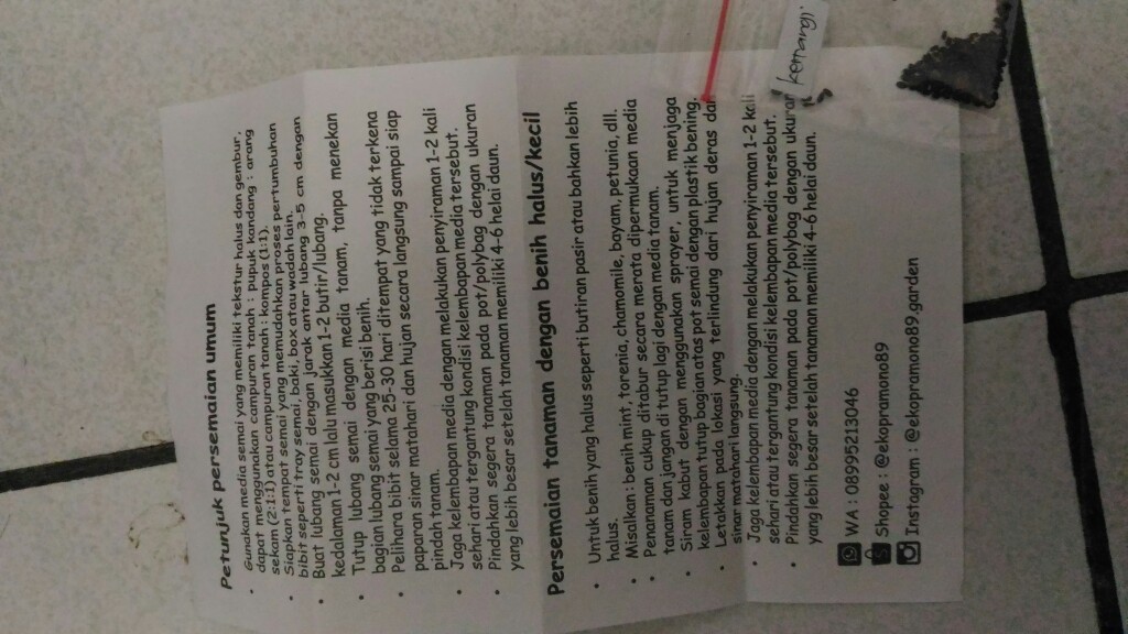 50 Benih Kemangi Repack