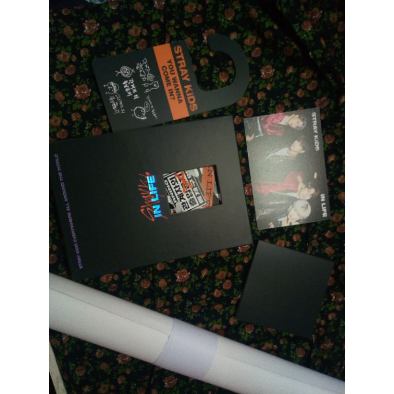 Album only straykids skz inlife insaeng