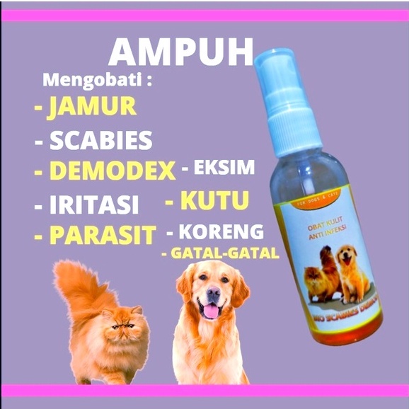 OBAT JAMUR  KUCING ANJING  / OBAT KUTU KUCING  ANJING / OBAT BULU KUCING ANJING