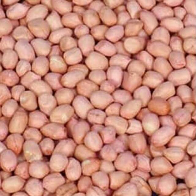 

Kacang Tanah Kulit 500 gr