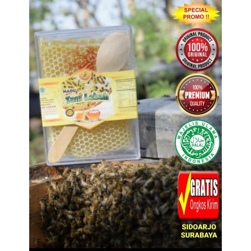 

PROMO [MADU SARANG MELIFERA MURNI 250GRAM]Bersertifikat Resmi dan HALAL