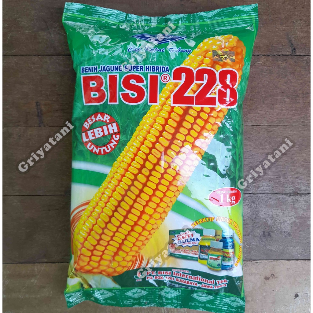 Benih Jagung Bisi 228 1 Kg hibrida