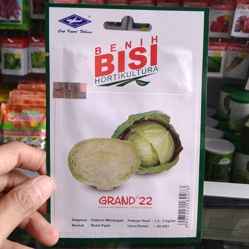 Benih Kubis Grand 22 BISI – 200 Biji