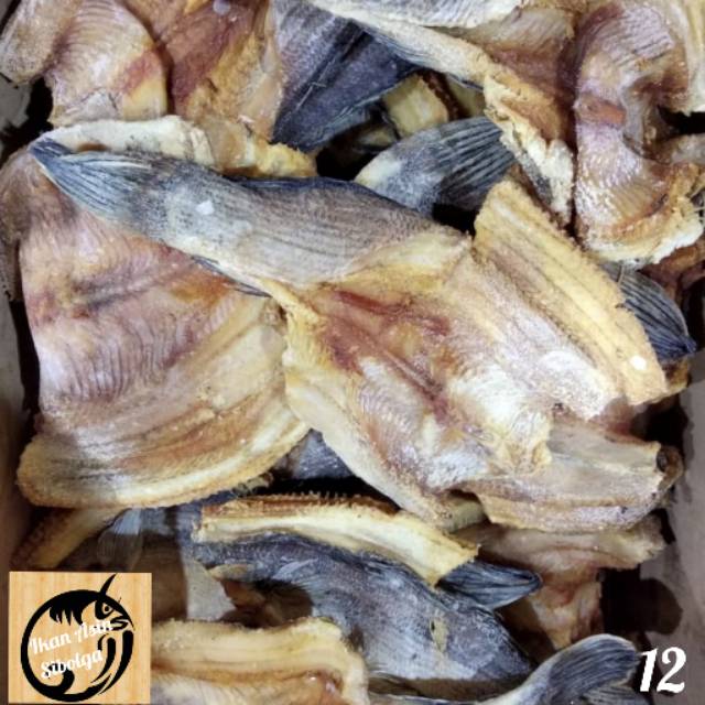 

IAS-12 | Ikan Asin Gabus Laut @1 Kg
