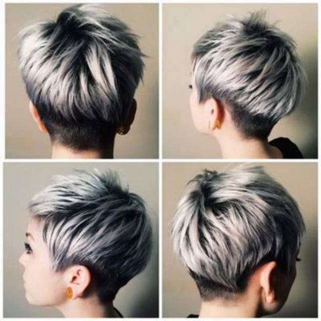 Pewarna Rambut Cat Rambut Silver Abu Abu Shopee Indonesia