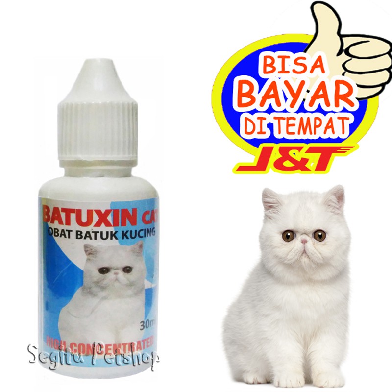 Obat Batuk Kucing Sesak Nafas Flu Asma Batuxin