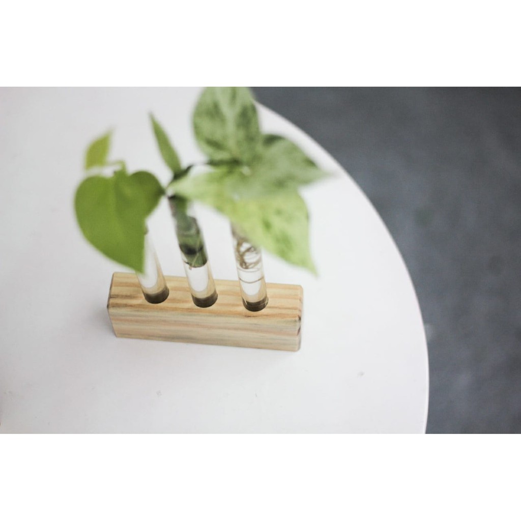 Vas Bunga Kayu Air Tabung Kaca Propagasi Water Propagation Pot Tabung Reaksi Rustik Aesthetic Baru