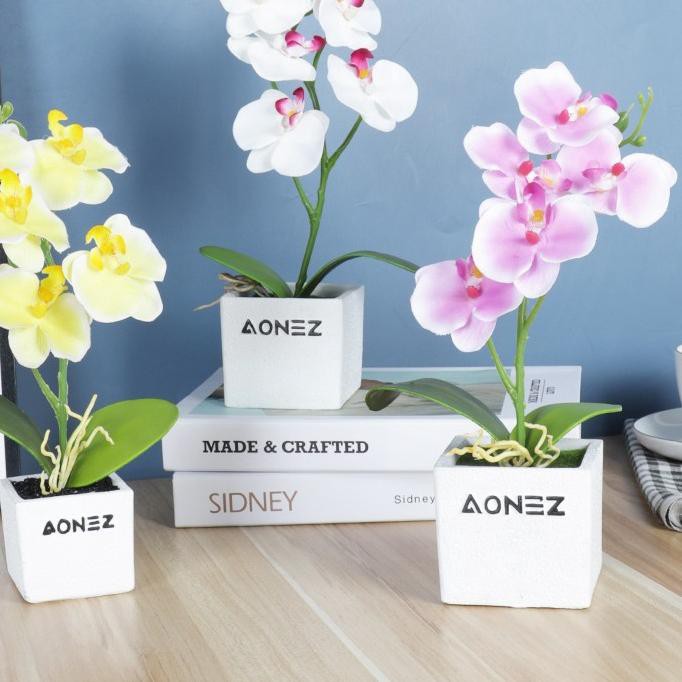 GFD❋ Aonez Bunga Phalaenopsis Bonsai hias kaki ganda dengan Pot semen Pasti Ada
