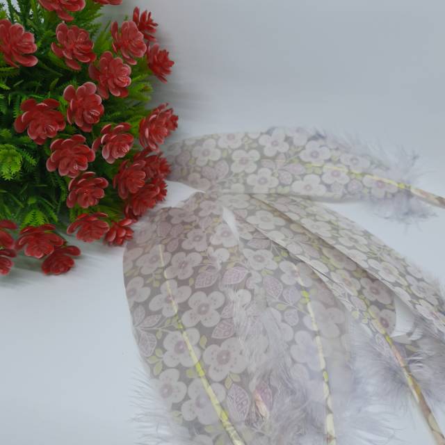 BULU AYAM PRINTING 2018007 / BULU KARAKTER / BULU WARNA WARNI/PRAKARYA