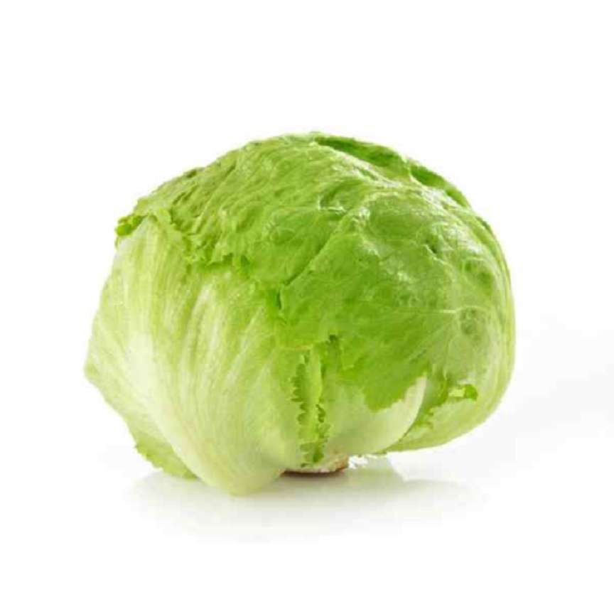 Lettuce Head / Iceberg Lettuce Organik 500gr