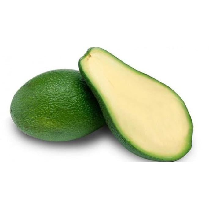 Asli Bibit Tanaman Buah Alpukat Tanpa Biji Kw Import