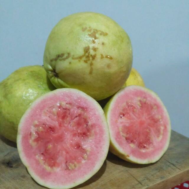 

Jambu Biji Merah