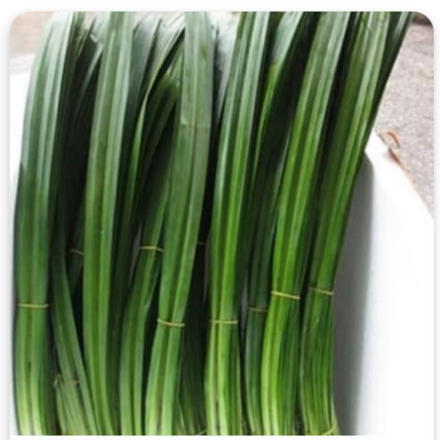 

Daun pandan per ikat 50gr