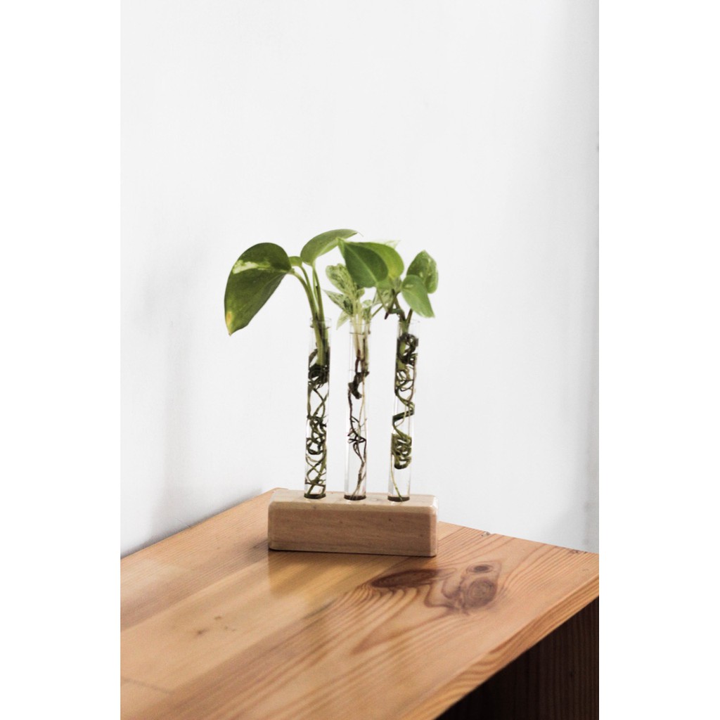 Vas Bunga Kayu Air Tabung Kaca Propagasi Water Propagation Pot Tabung Reaksi Rustik Aesthetic