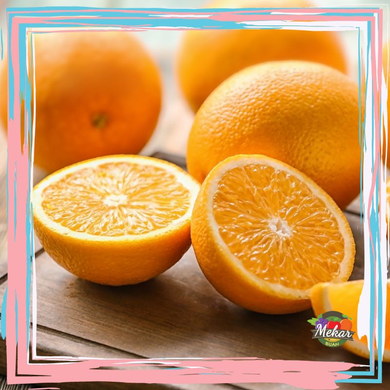 

Sunkis navel fresh dan banyak air dan manis