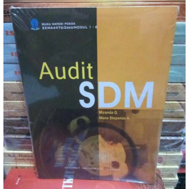 Audit Sdm Shopee Indonesia