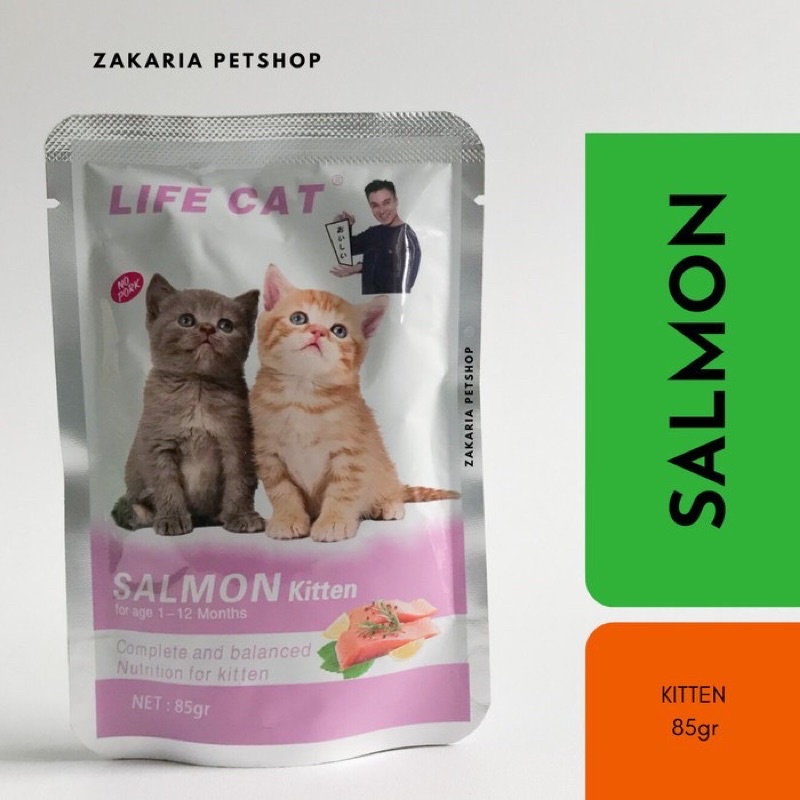 life cat salmon kitten