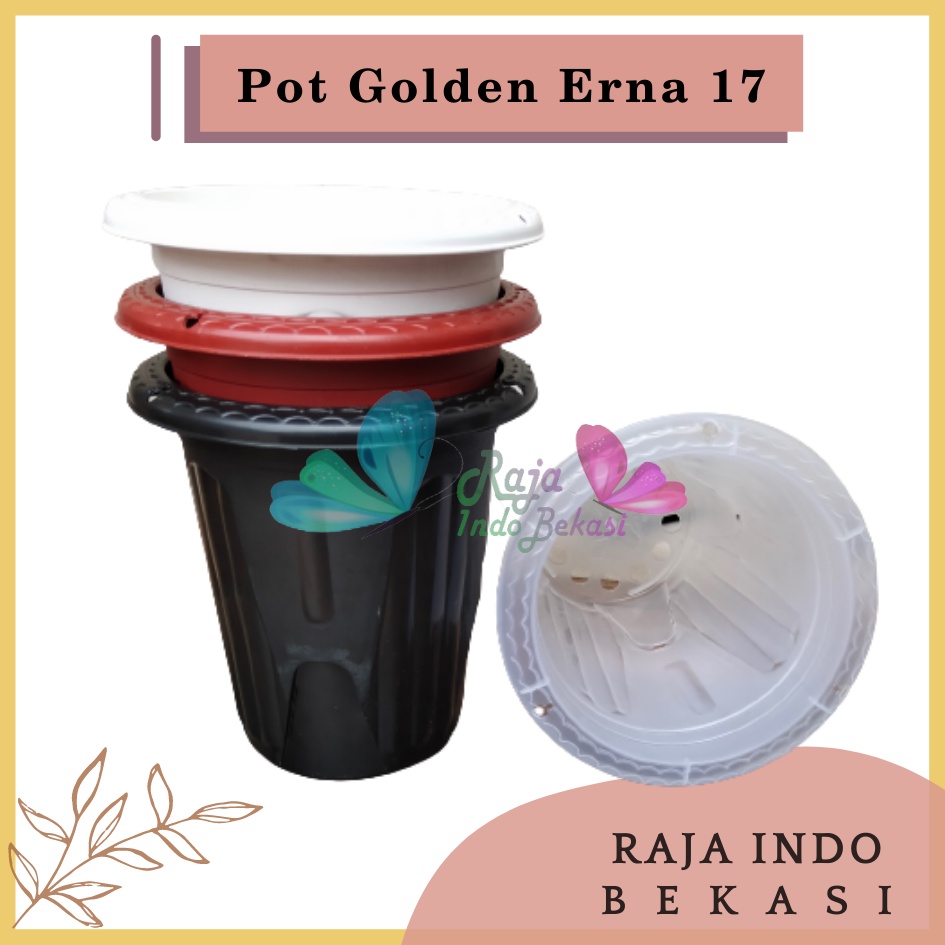 Pot Golden Erna 17 Putih Hitam Coklat Merah Bata Terakota - Pot Yogap 15 17 Murah