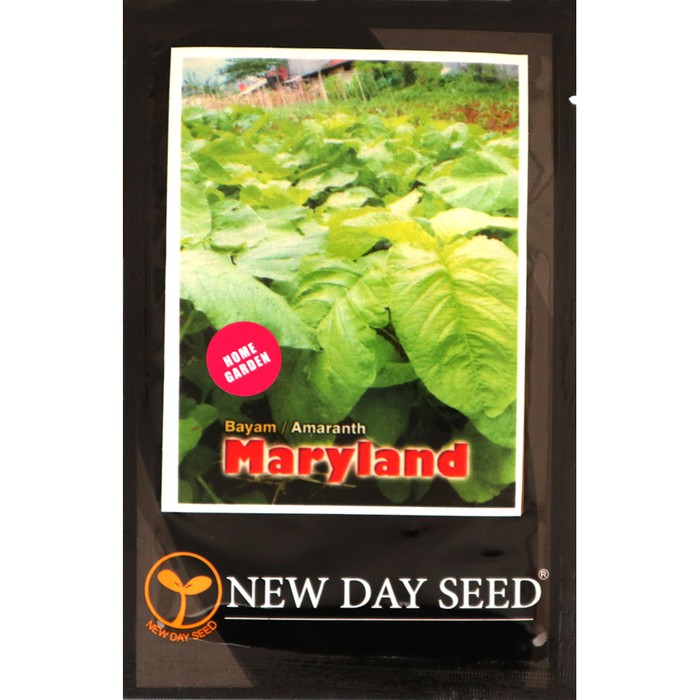 Benih Bayam Hijau - Maryland (New Day Seed)