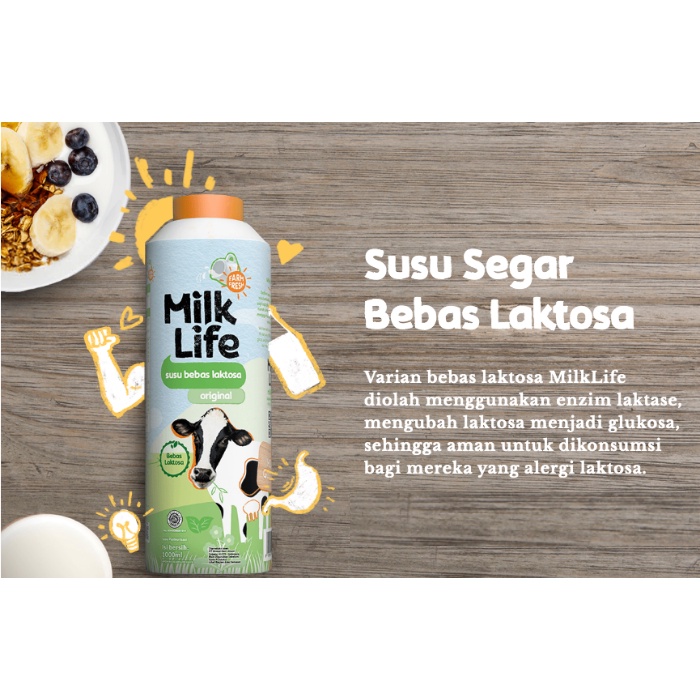 

RB Milk Life Fresh Milk All Varian Plain / Chocolate / Stroberi Pisang / Free Lactose / Mocca Free