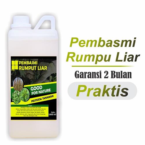 PEMBASMI RUMPUT LIAR PALING AMPUH 100% RUMPUT BINASA - OBAT ANTI RUMPUT LIAR