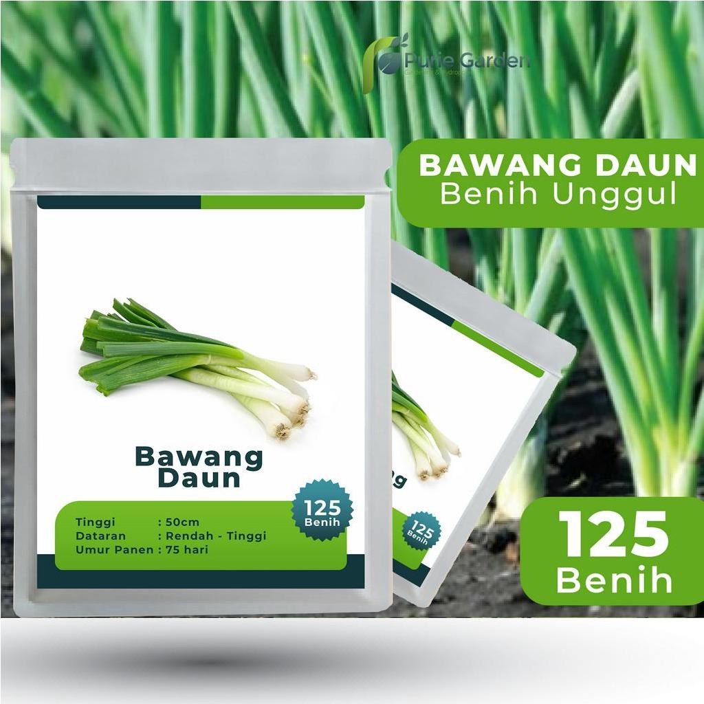 Benih Bibit Biji Unggul Bawang Daun 125 Benih PG SBY