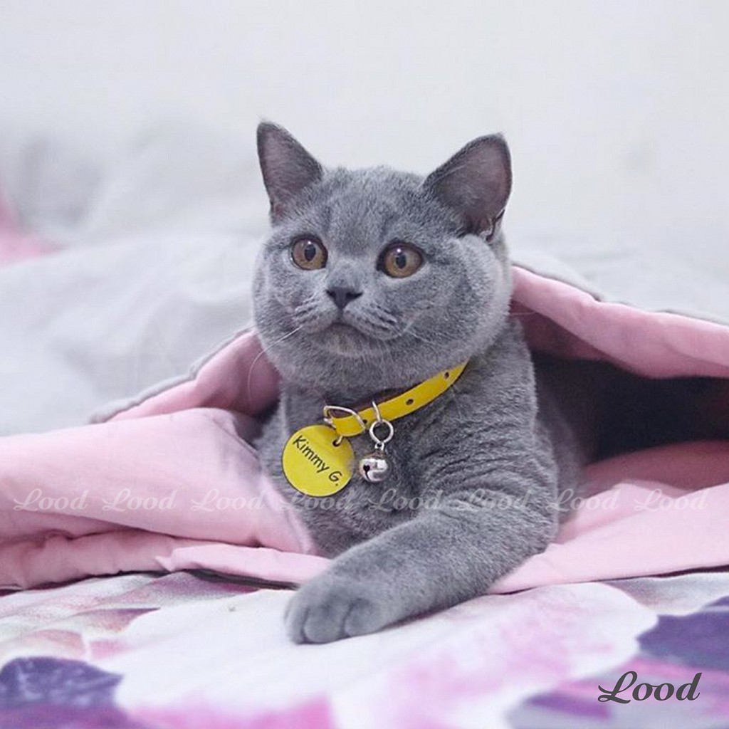 LOOD KALUNG KUCING KULIT LIONTIN KEPALA KUCING / GRATIS UKIR NAMA